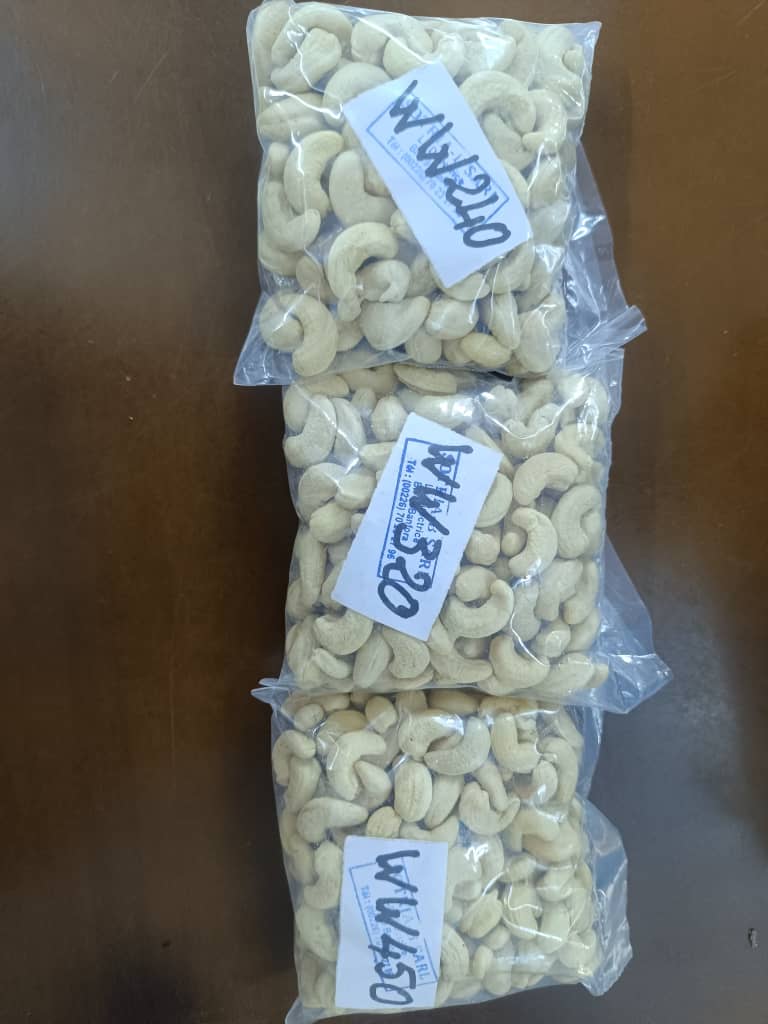 Raw Cashew Nuts