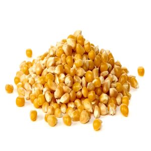 Dry Yellow Corn