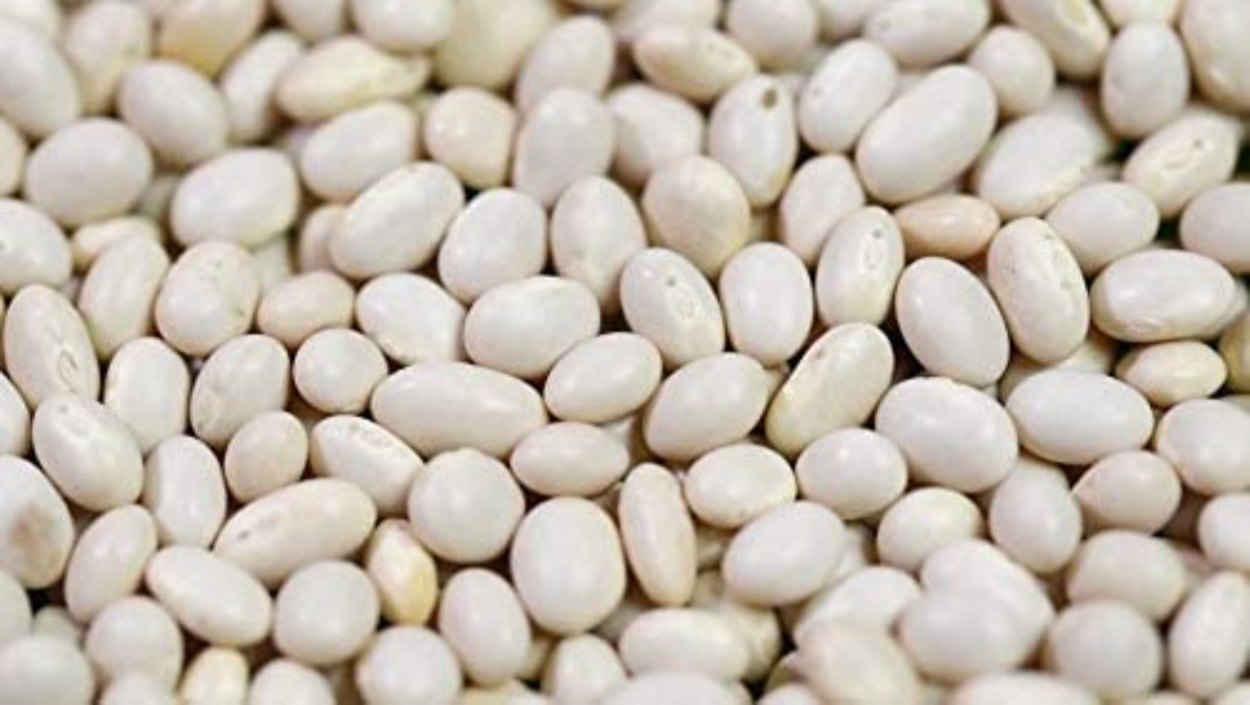 Dry Winned White Soybean